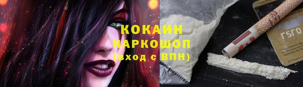 соль ск Дмитров