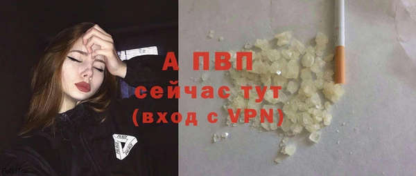 соль ск Дмитров