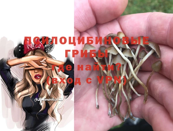 мет Гусиноозёрск