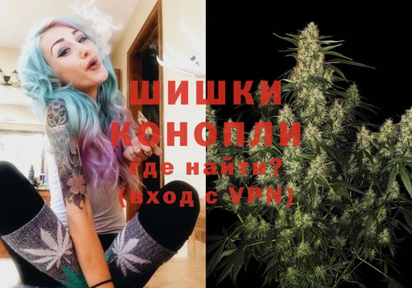 соль ск Дмитров
