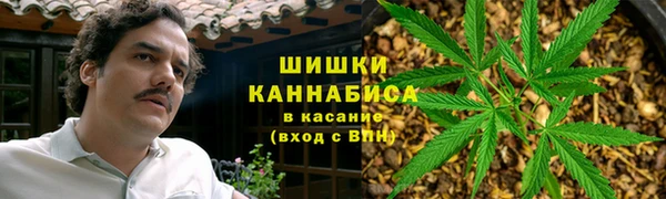 прущая мука Дмитриев
