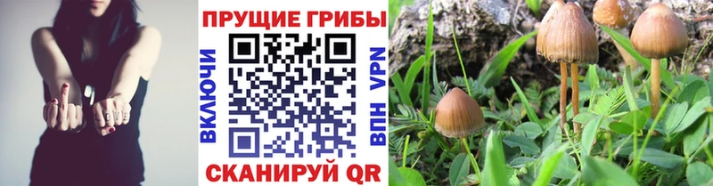 Галлюциногенные грибы ЛСД  Купить закладки  Печора 